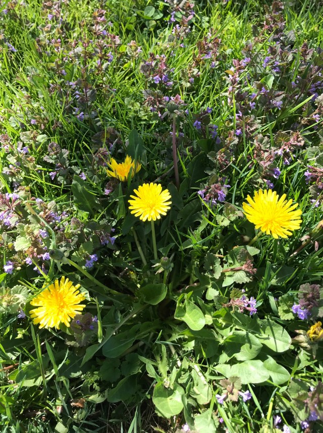 OriginalPhoto-547738798.584406