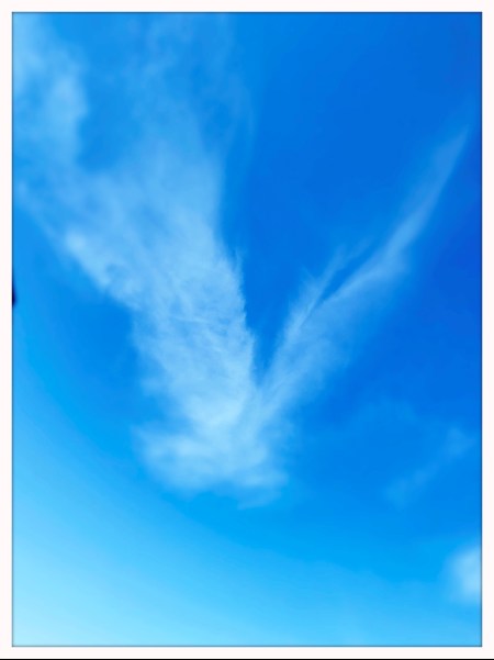 San Miguel de Allende, Mexico City, Quaratero, Workshops