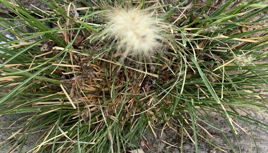 nature, cosmos, god, universe, intentions, thoughts