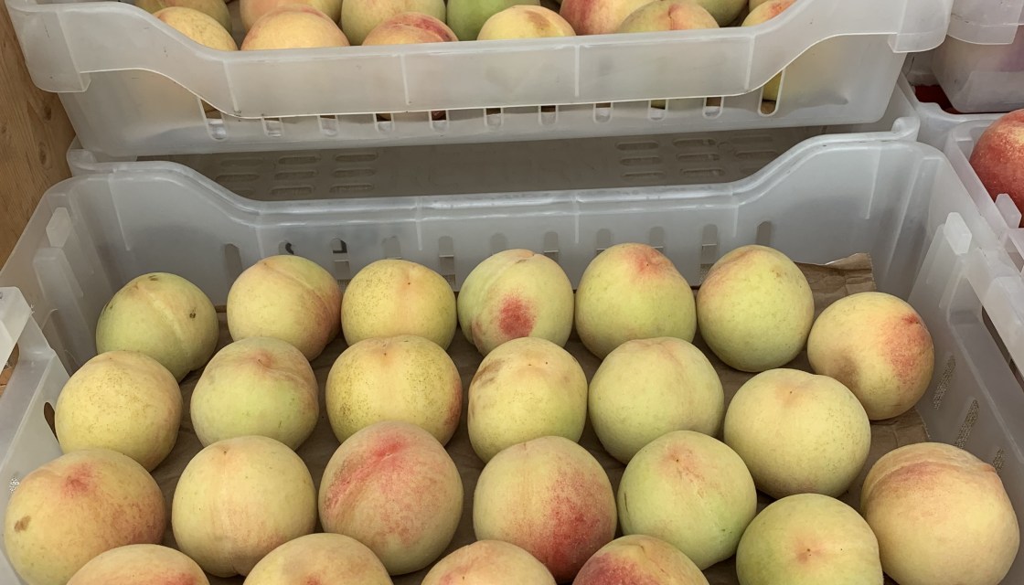 Nana Smith, Nanna Smith nanagsmith, lotusyogaarts, san francisco, san miguled de allende, los angeles, CA =, Mexico.